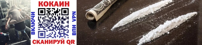 Cocaine FishScale  купить  сайты  Ленинградская 