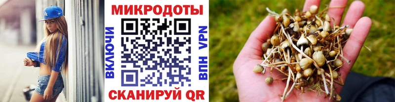 Галлюциногенные грибы Psilocybe  Ленинградская 