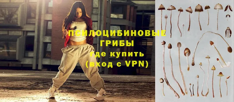 купить наркотик  Ленинградская  blacksprut вход  Галлюциногенные грибы прущие грибы 